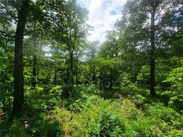 305 Spirit Drive, St Joe, AR 72675