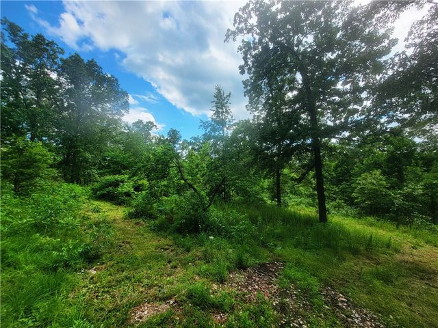 305 Spirit Drive, St Joe, AR 72675