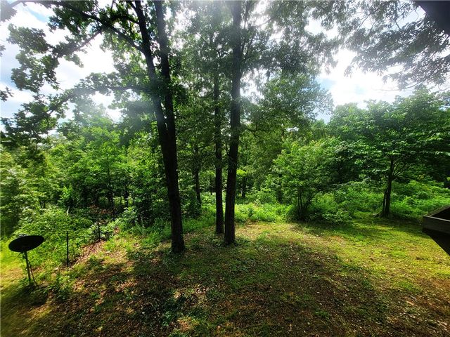 305 Spirit Drive, St Joe, AR 72675