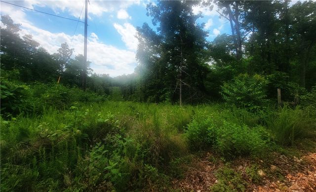 305 Spirit Drive, St Joe, AR 72675
