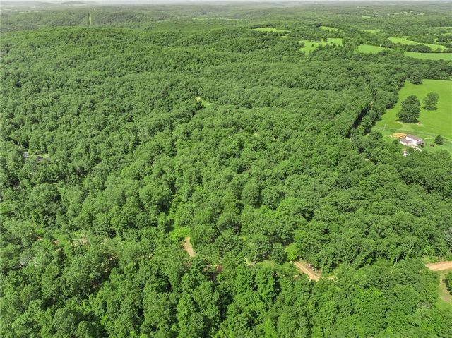 305 Spirit Drive, St Joe, AR 72675