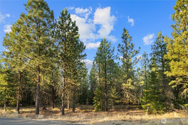 131 Gold Leaf Lane, Cle Elum, WA 98922