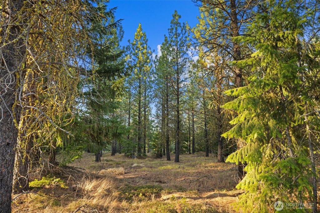 131 Gold Leaf Lane, Cle Elum, WA 98922