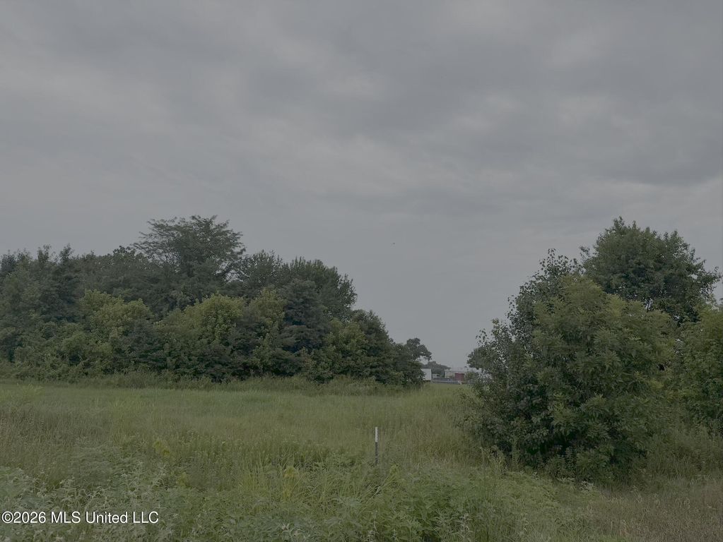 Baylor Road, Senatobia, MS 38668 — photo 2