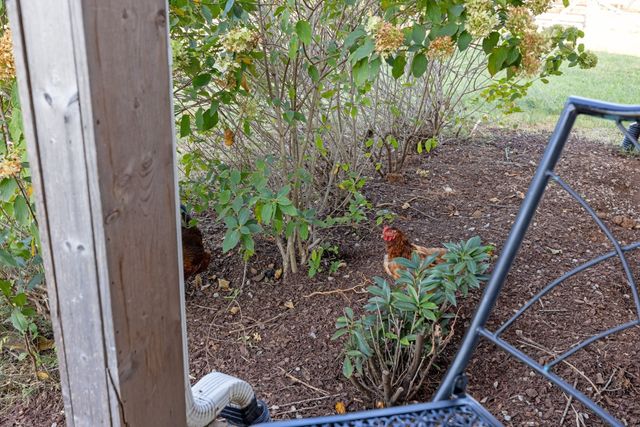 1883 Sawgrass Ln, Chapel Hill, TN 37034