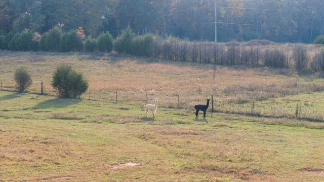 1883 Sawgrass Ln, Chapel Hill, TN 37034