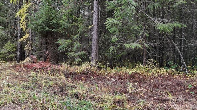 14506 Moonlight Lane, Newport, WA 99156