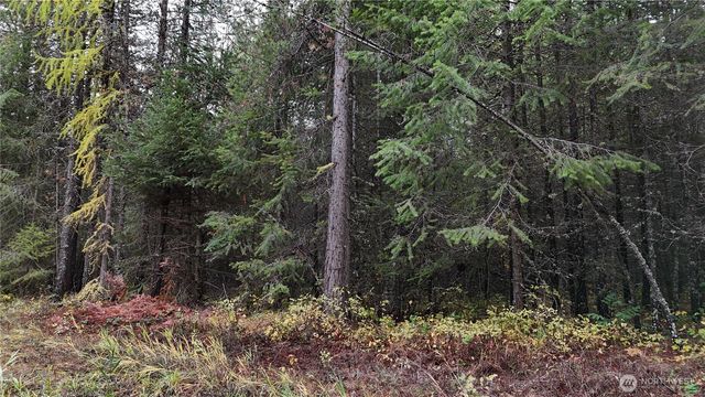 14506 Moonlight Lane, Newport, WA 99156