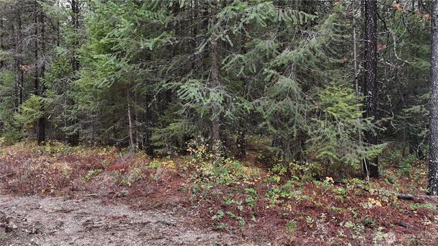 14506 Moonlight Lane, Newport, WA 99156