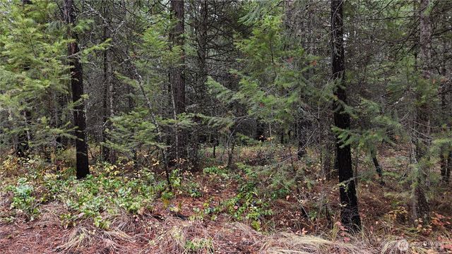 14506 Moonlight Lane, Newport, WA 99156