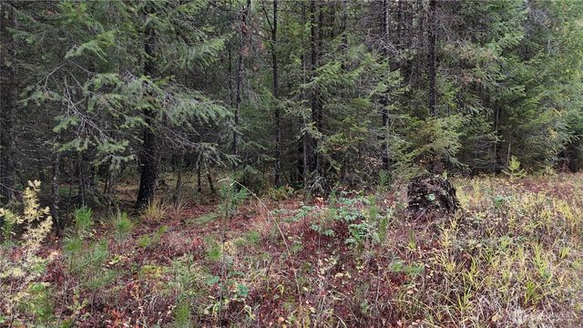 14506 Moonlight Lane, Newport, WA 99156