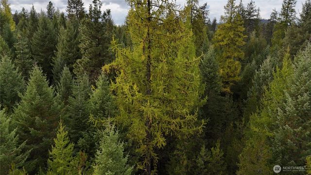 14506 Moonlight Lane, Newport, WA 99156