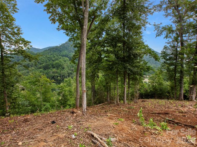 213 Three Rivers Drive, Hendersonville, NC 28792