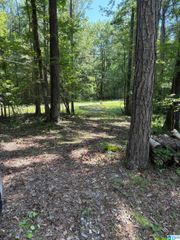 0 0 PINE GLEN ROAD, Talladega, AL 35160