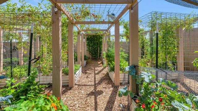 14306 W HOPE Drive, Surprise, AZ 85379