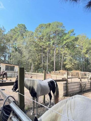 696 Bedon Road, Walterboro, SC 29488