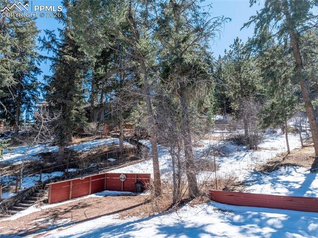 9735 Mountain Road, Cascade, CO 80809