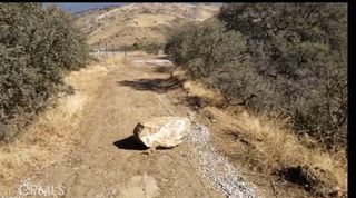 0 Sierra, Acton, CA 93510