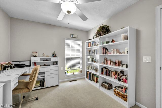 5304 Lake Forest Reserve Lane, Brunswick, OH 44212