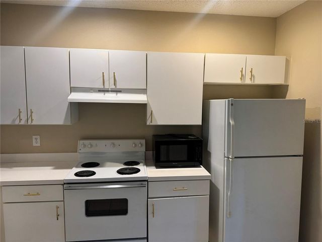 30059 GRANDA HILLS COURT, Wesley Chapel, FL 33543