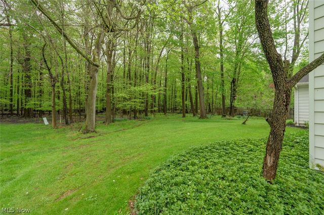 7749 Silver Fox Drive, Youngstown, OH 44512