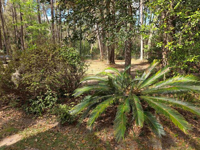 3429 Lakeshore Drive, Tallahassee, FL 32312