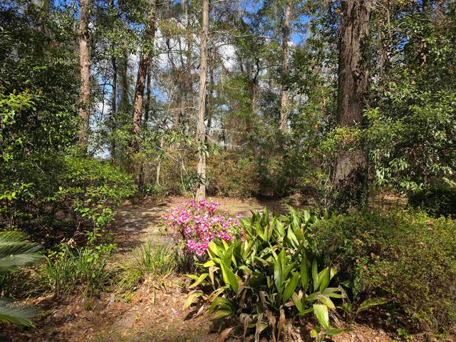 3429 Lakeshore Drive, Tallahassee, FL 32312