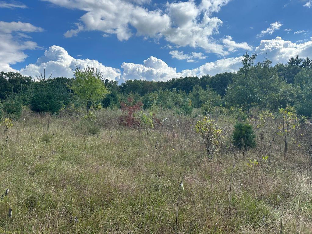 XXX 424th Street, Harris, MN 55032 — photo 4