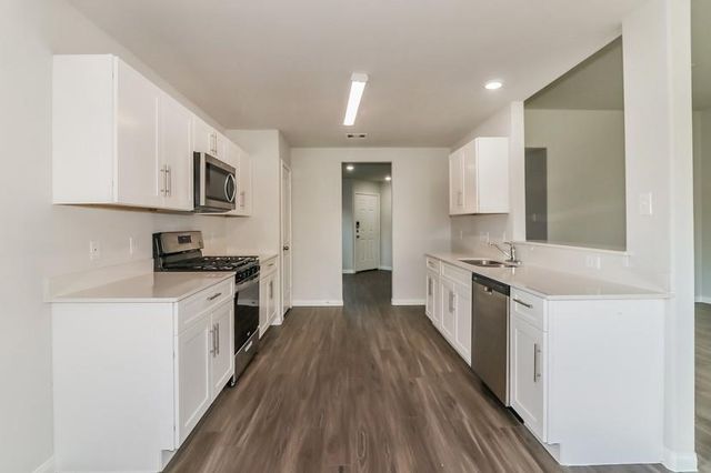 1011 Briza Del Mar Court, Richmond, TX 77406