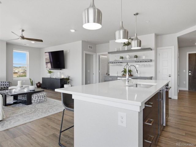 20 Wilcox St 502, Castle Rock, CO 80104