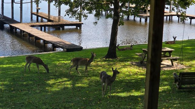 616 Marina Road A E, Crockett, TX 75835