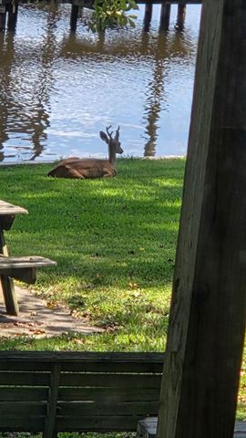 616 Marina Road A E, Crockett, TX 75835