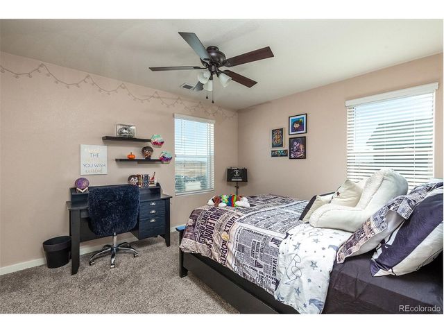 6563 Globeflower St, Wellington, CO 80549