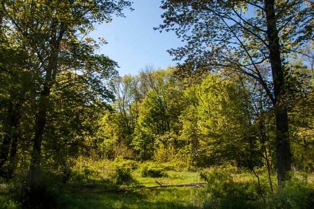 6864 N Nature Lane, La Porte, IN 46350