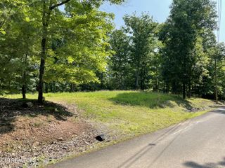 323 Chelaque Way, Mooresburg, TN 37811