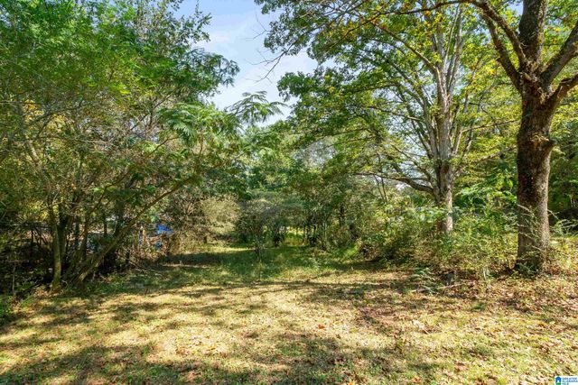 3146 SWEENEY HOLLOW ROAD, Pinson, AL 35215
