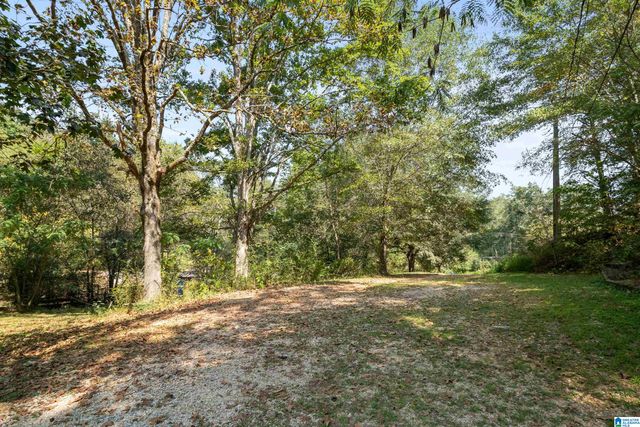 3146 SWEENEY HOLLOW ROAD, Pinson, AL 35215