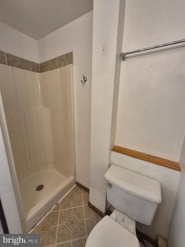 219 S SETON AVE, Emmitsburg, MD 21727