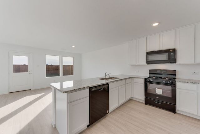 244 Ashbrook Street, Little Elm, TX 75068