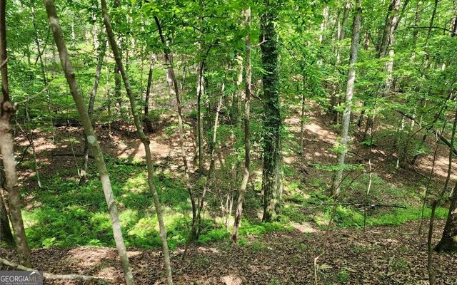 LOT 838 Oneida Circle, Ellijay, GA 30540