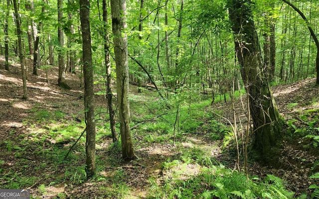 LOT 838 Oneida Circle, Ellijay, GA 30540
