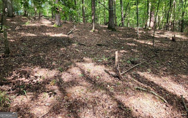 LOT 838 Oneida Circle, Ellijay, GA 30540