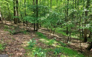 LOT 838 Oneida Circle, Ellijay, GA 30540