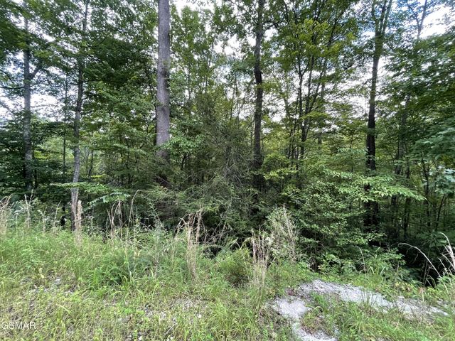 5 Stepping Stone Drive, Sevierville, TN 37862