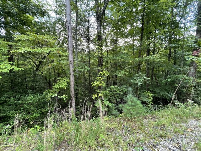 5 Stepping Stone Drive, Sevierville, TN 37862