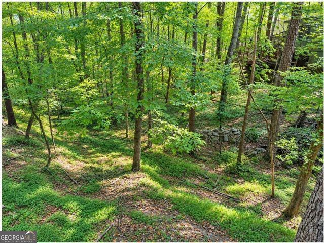 110 Indian ridge Court, Waleska, GA 30183