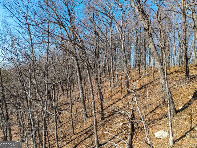 LOT 109A Folkstone Road, Talking Rock, GA 30175