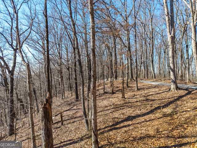 LOT 109A Folkstone Road, Talking Rock, GA 30175
