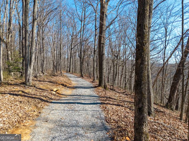 LOT 109A Folkstone Road, Talking Rock, GA 30175