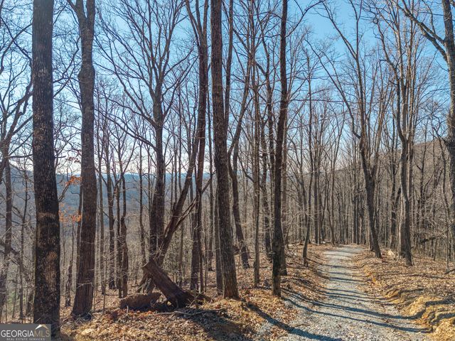 LOT 109A Folkstone Road, Talking Rock, GA 30175